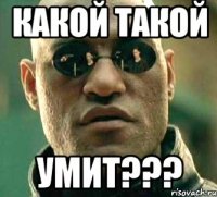 Какой такой УМиТ???