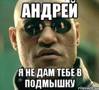 Андрей Я не дам тебе в подмышку