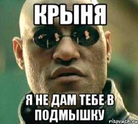 Крыня Я не дам тебе в подмышку