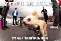 Блять щемимся отсюда! тут хасятники мать твою