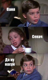 Ваня Секач Да ну нахуй