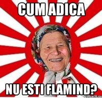 Cum adica Nu esti flamind?