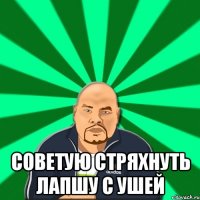  советую стряхнуть лапшу с ушей