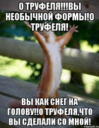 О Труфеля!!!Вы необычной формы!О Труфеля! Вы как снег на голову!!О Труфеля,что вы сделали со мной!