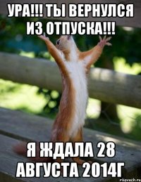 Ура!!! Ты вернулся из отпуска!!! Я ждала 28 августа 2014г