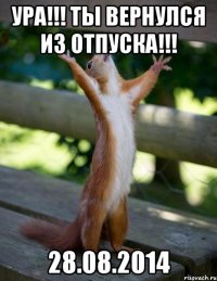 Ура!!! Ты вернулся из отпуска!!! 28.08.2014