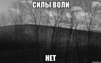 СИЛЫ ВОЛИ НЕТ