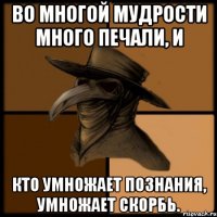 Во многой мудрости много печали, и кто умножает познания, умножает скорбь.