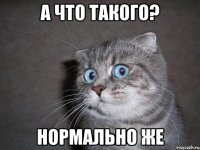 А что такого? Нормально же