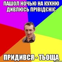 Пашол ночью на кухню дивлюсь прівідєніє Придився - тьоща