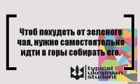 Чтоб похудеть от зеленого чая, нужно самостоятельно идти в горы собирать его.