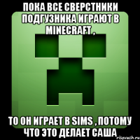 Пока все сверстники подгузника играют в minecraft , то он играет в sims , потому что это делает Саша