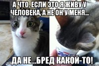 А что, если это я живу у человека, а не он у меня... ...да не...бред какой-то!