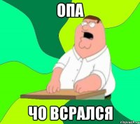 ОПА ЧО ВСРАЛСЯ