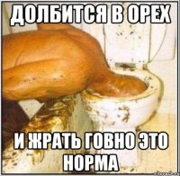 долбится в орех и жрать говно это норма