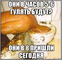 Они в часов 5-6 гулять будут? Они в 8 пришли сегодня