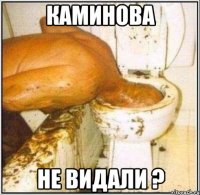 каминова не видали ?