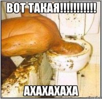 Вот такая!!!!!!!!!!! ахахахаха