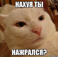 Нахуя ты Нажрался?