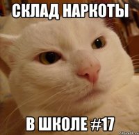 склад наркоты в школе #17