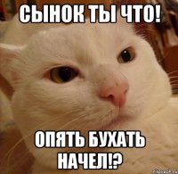 сынок ты что! опять бухать начел!?