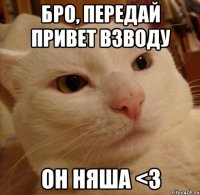 Бро, передай привет взводу Он няша <3