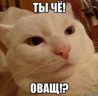 ты чё! оващ!?