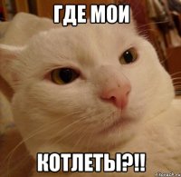 Где мои КОТЛЕТЫ?!!