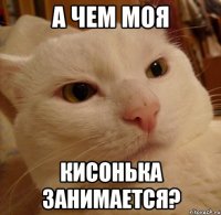 А чем моя Кисонька занимается?