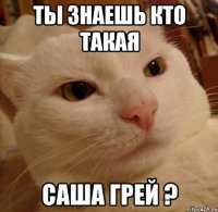 Ты знаешь кто такая Саша Грей ?