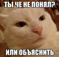 ТЫ ЧЕ НЕ ПОНЯЛ? ИЛИ ОБЪЯСНИТЬ