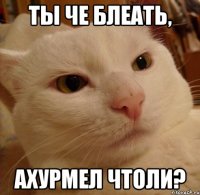 ты че блеать, ахурмел чтоли?