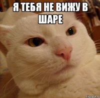 Я ТЕБЯ НЕ ВИЖУ В ШАРЕ 