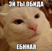 эй ты обида ебнная