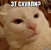 эт схуяли? 