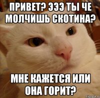 Привет? Эээ Ты че молчишь Скотина? Мне кажется Или Она Горит?