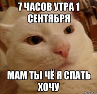 7 часов утра 1 сентября Мам ты чё я спать хочу