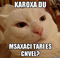 karoxa du msaxaci tari es cnvel?