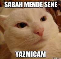 Sabah mende sene Yazmicam