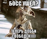 Босс ушел? Теперь Добби свободен))))