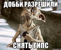 Добби разрешили снять гипс