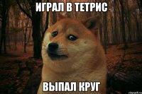 Играл в тетрис выпал круг