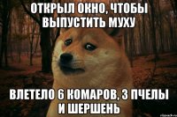 Открыл окно, чтобы выпустить муху влетело 6 комаров, 3 пчелы и шершень