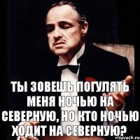 ТЫ ЗОВЕШЬ ПОГУЛЯТЬ МЕНЯ НОЧЬЮ НА СЕВЕРНУЮ, НО КТО НОЧЬЮ ХОДИТ НА СЕВЕРНУЮ?