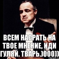 Всем насрать на твое мнение, иди гуляй. тварь.)000))