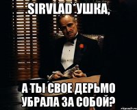 SIRVLAD*ушка, а ты свое дерьмо убрала за собой?