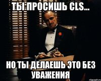 ТЫ ПРОСИШЬ CLS... НО ТЫ ДЕЛАЕШЬ ЭТО БЕЗ УВАЖЕНИЯ