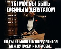 ты мог бы быть гусиным депутатом но ты не можешь определится между гусем и карасем...