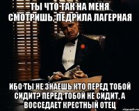 ТЫ ЧТО ТАК НА МЕНЯ СМОТРИШЬ, ПЕДРИЛА ЛАГЕРНАЯ ИБО ТЫ НЕ ЗНАЕШЬ КТО ПЕРЕД ТОБОЙ СИДИТ? ПЕРЕД ТОБОЙ НЕ СИДИТ, А ВОССЕДАЕТ КРЕСТНЫЙ ОТЕЦ