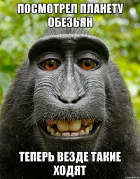 ПОСМОТРЕЛ ПЛАНЕТУ ОБЕЗЬЯН ТЕПЕРЬ ВЕЗДЕ ТАКИЕ ХОДЯТ